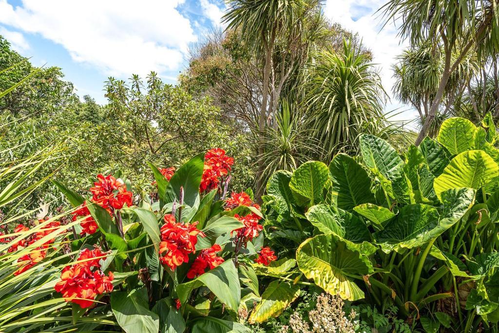 Oneroa Bay Villa Waiheke 外观 照片