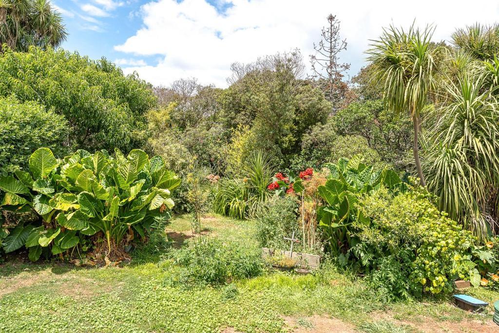 Oneroa Bay Villa Waiheke 外观 照片