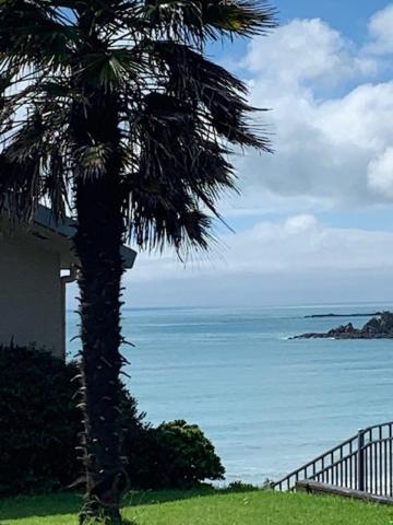 Oneroa Bay Villa Waiheke 外观 照片