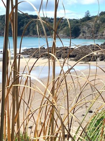 Oneroa Bay Villa Waiheke 外观 照片